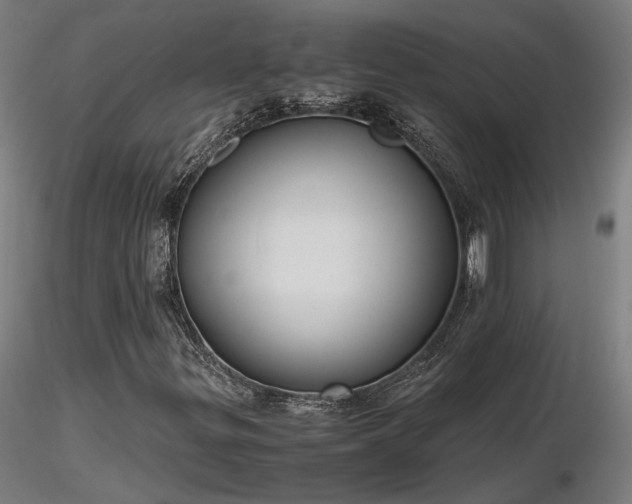 X0000116841299200912181448