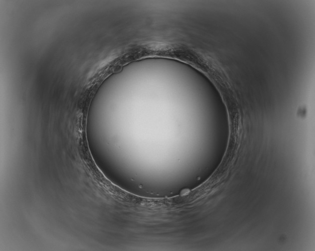 X0000116841301200912181448