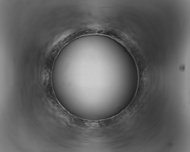X0000116841302200912181448