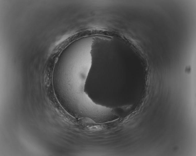X0000116841303200912181448