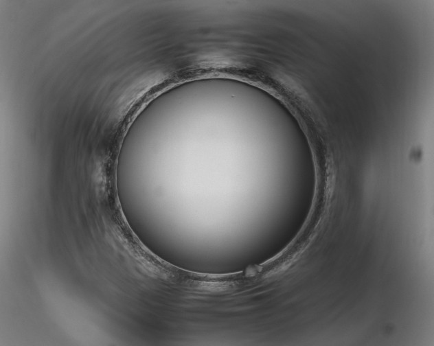 X0000116841305200912181448