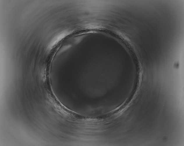 X0000116841306200912181448