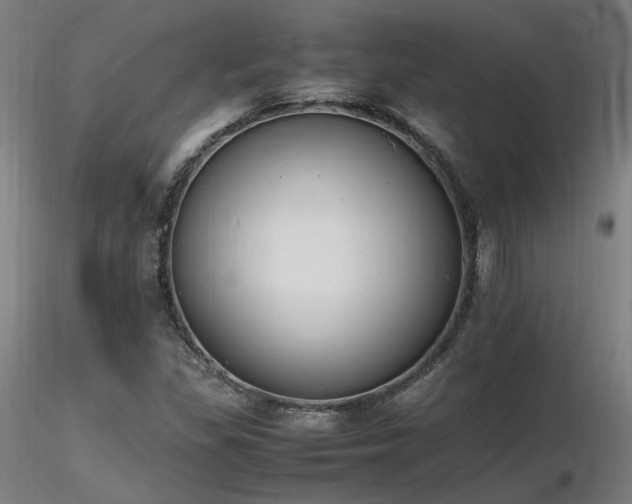 X0000116841309200912181448