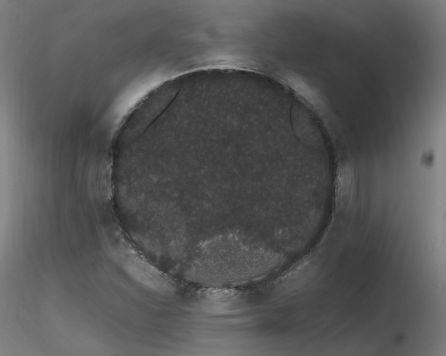 X0000116841310200912181448