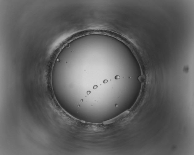 X0000116841311200912181448