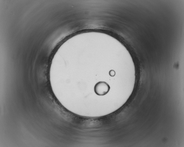 X0000116841314200912181448