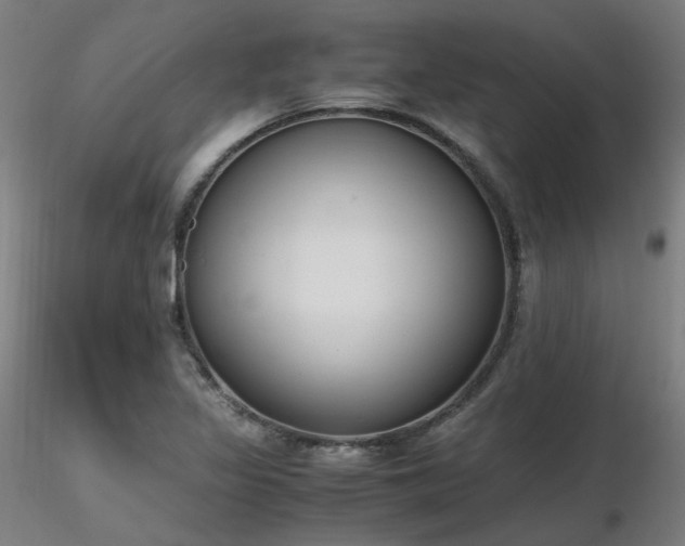 X0000116841317200912181448