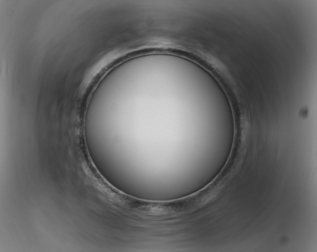 X0000116841318200912181448