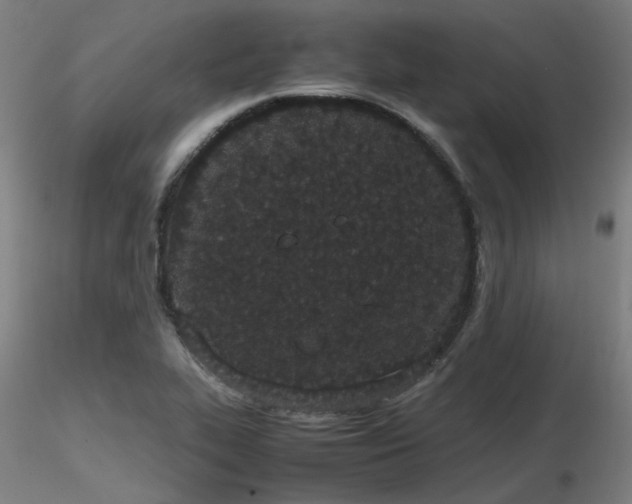 X0000116841319200912181448