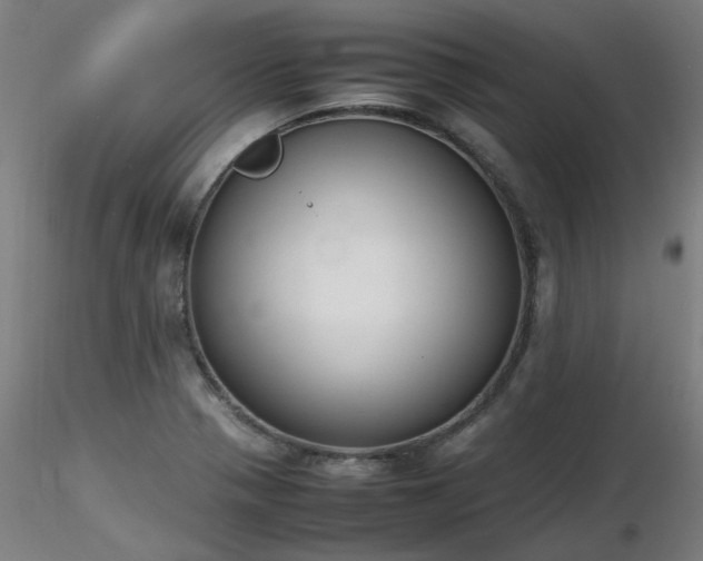 X0000116841321200912181448