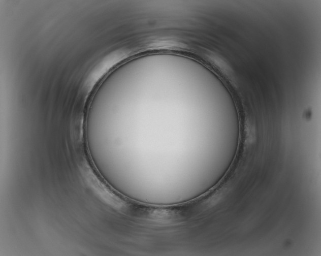 X0000116841322200912181448