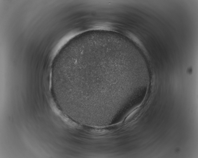 X0000116841323200912181448