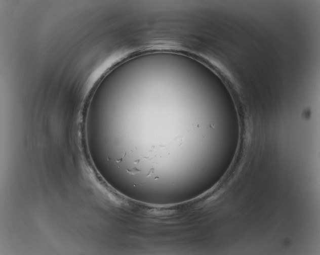 X0000116841325200912181449