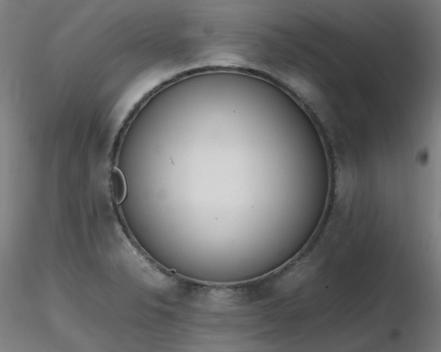X0000116841326200912181449