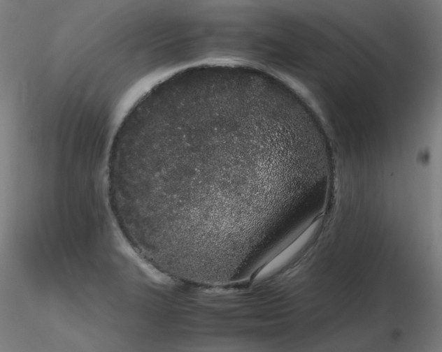 X0000116841327200912181449