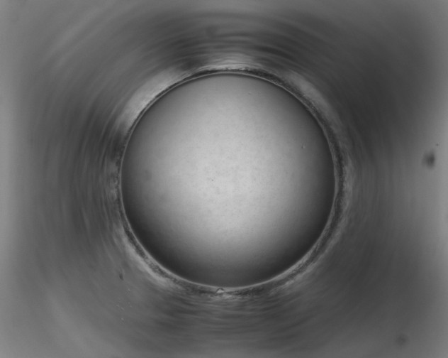 X0000116841329200912181449