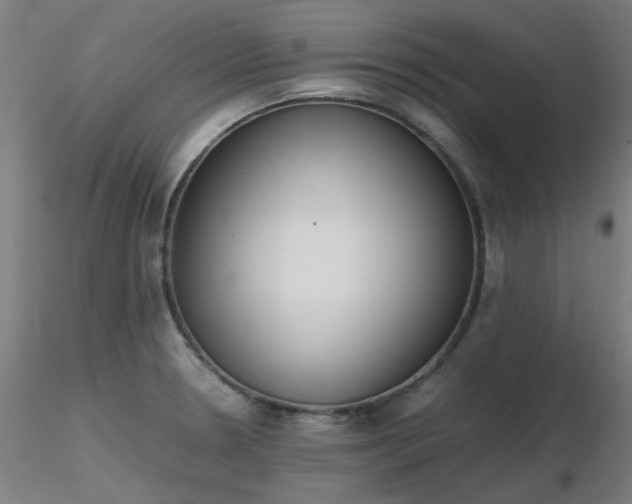 X0000116841330200912181449