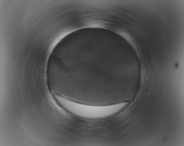 X0000116841331200912181449
