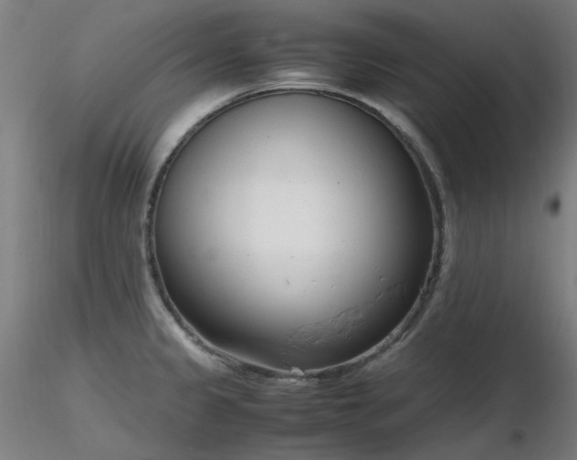 X0000116841333200912181449