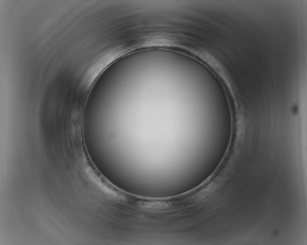 X0000116841337200912181449