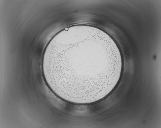 X0000116841338200912181449