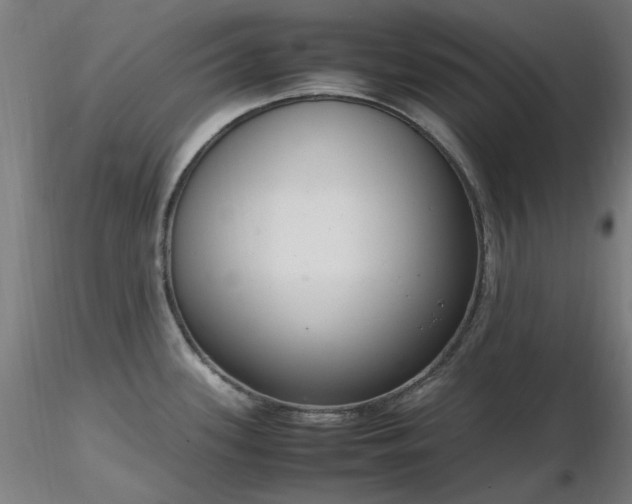 X0000116841339200912181449