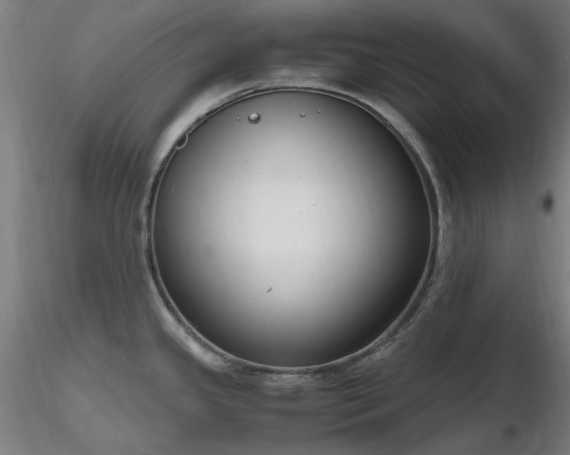 X0000116841341200912181449