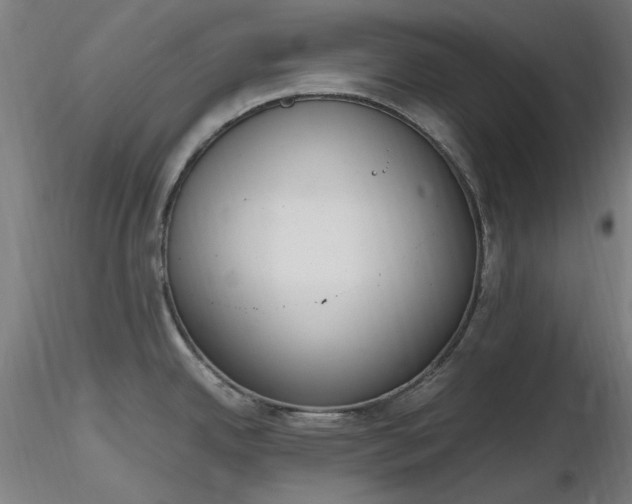 X0000116841342200912181449