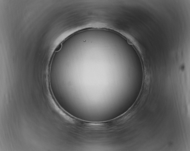X0000116841343200912181449
