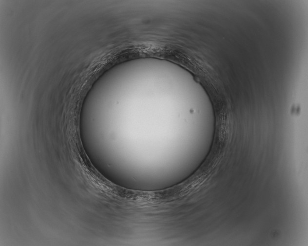 X0000116841345200912181448