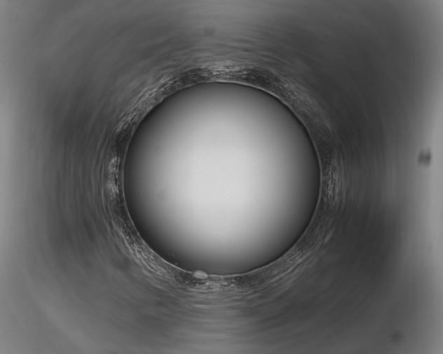 X0000116841346200912181448