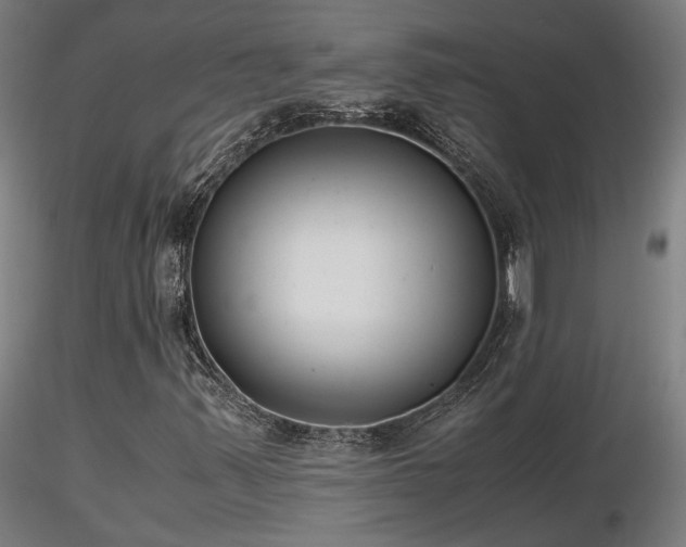 X0000116841347200912181448