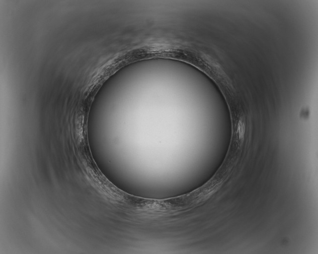 X0000116841348200912181448