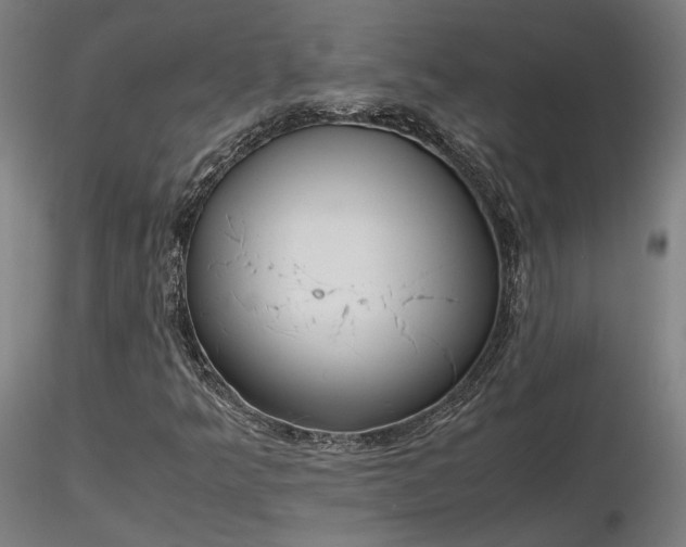 X0000116841349200912181448