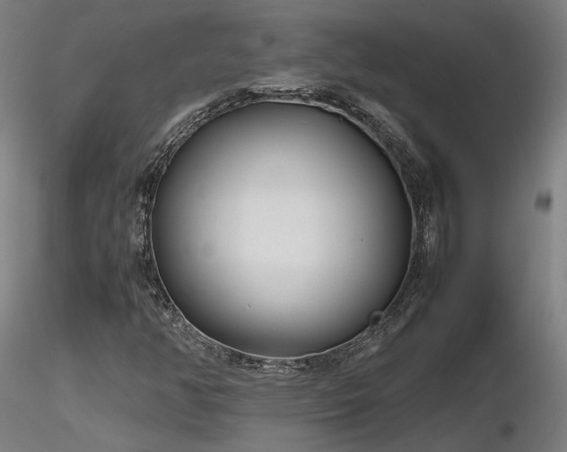 X0000116841350200912181448