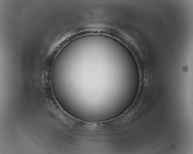X0000116841352200912181448