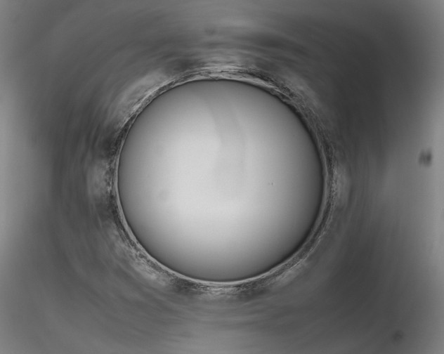 X0000116841353200912181448