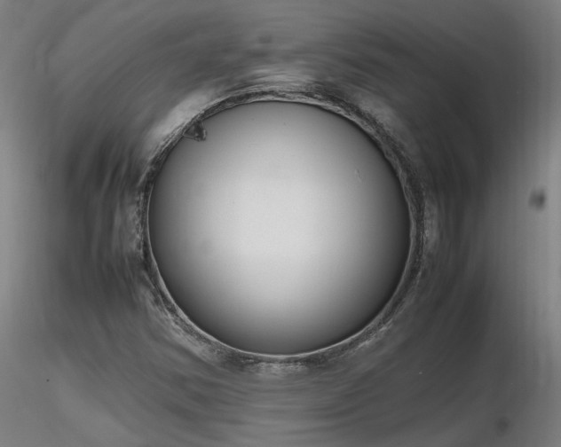 X0000116841354200912181448