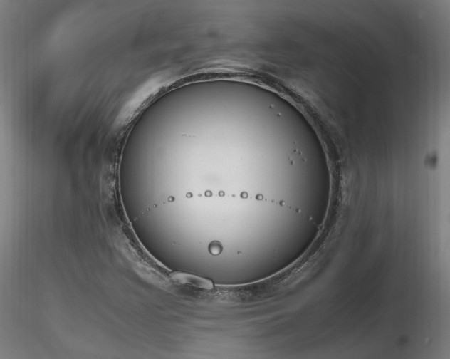 X0000116841355200912181448