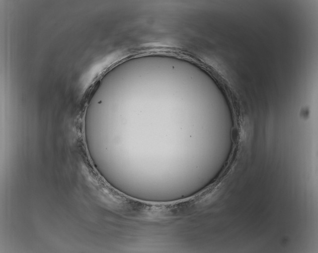 X0000116841357200912181448