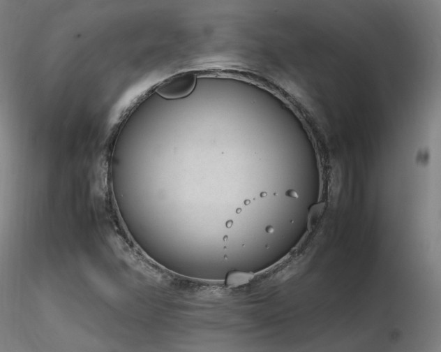 X0000116841358200912181448