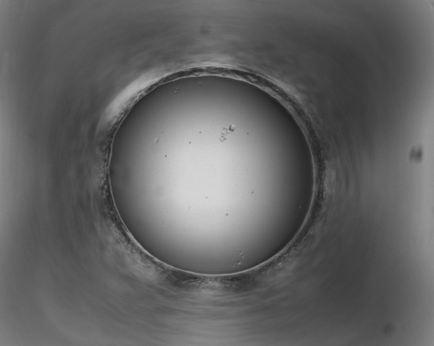 X0000116841359200912181448