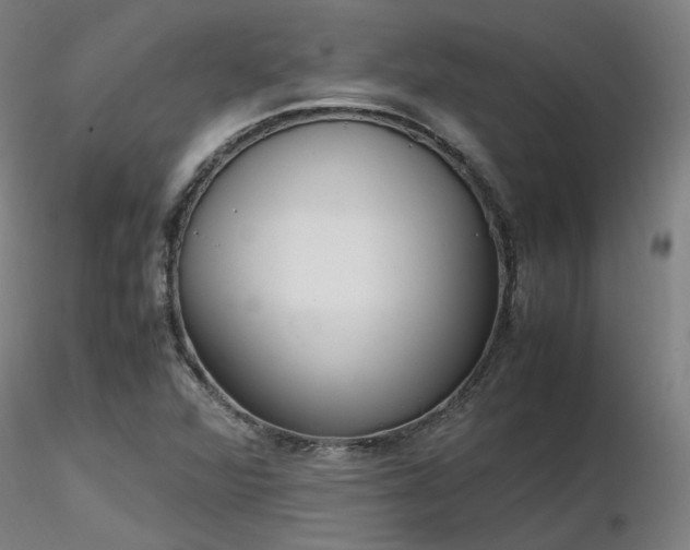 X0000116841360200912181448