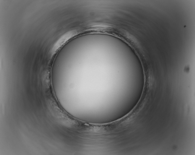 X0000116841362200912181448