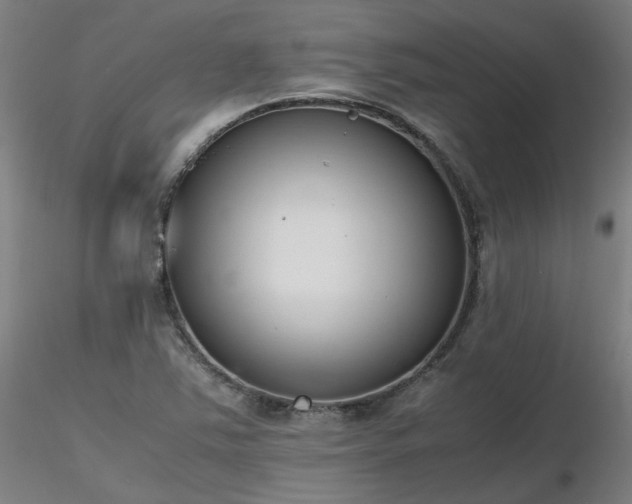 X0000116841363200912181448
