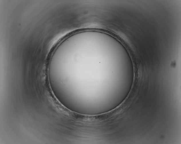 X0000116841364200912181448