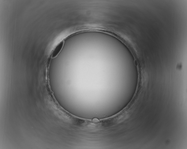 X0000116841365200912181448