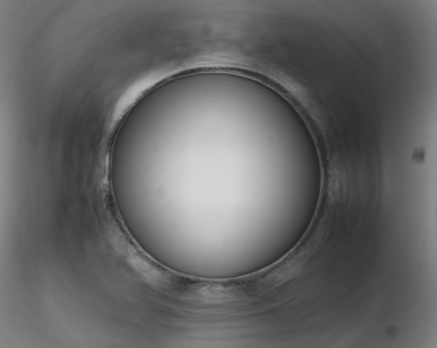 X0000116841366200912181448