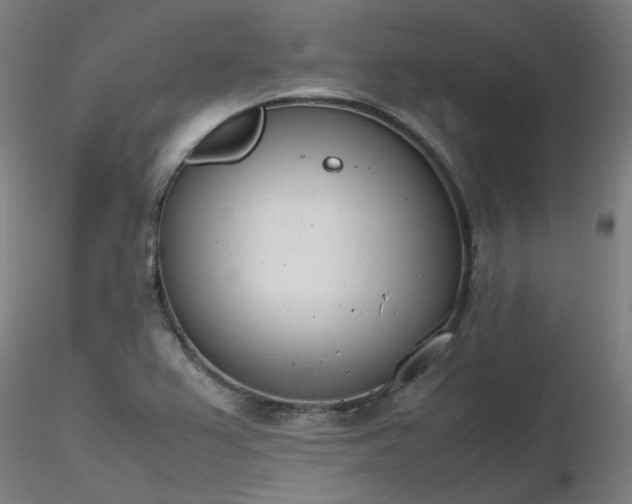 X0000116841367200912181448