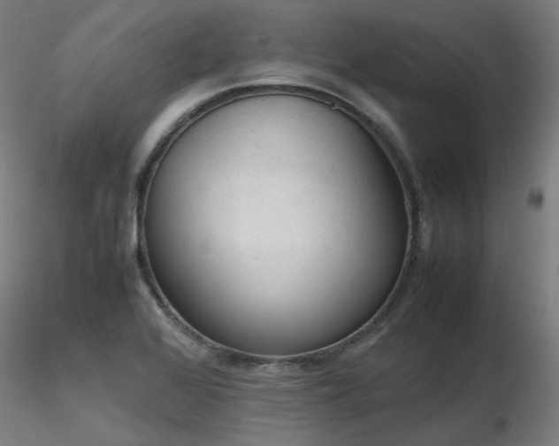 X0000116841368200912181448